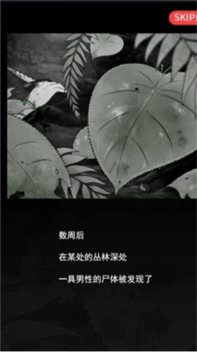 超SOS5