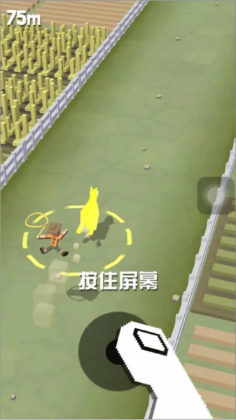 疯狂动物园国际版新手攻略