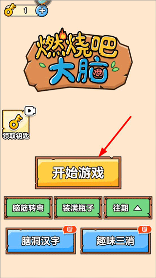 燃烧吧大脑游戏截图14